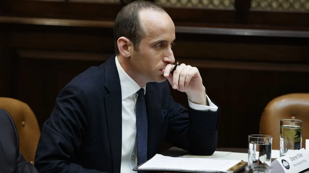 Stephen Miller's Education History