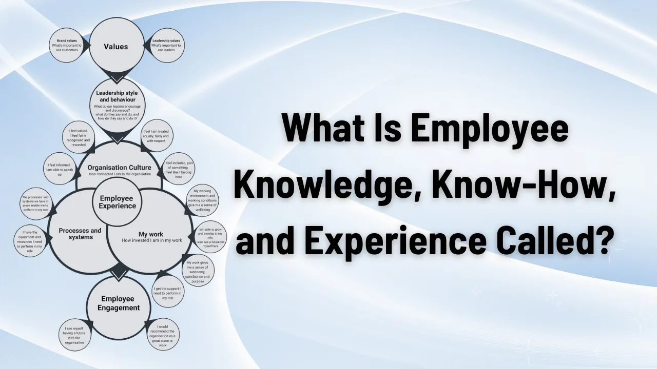 What Is Employee Knowledge, Know-How, and Experience Called?